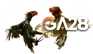 GA28